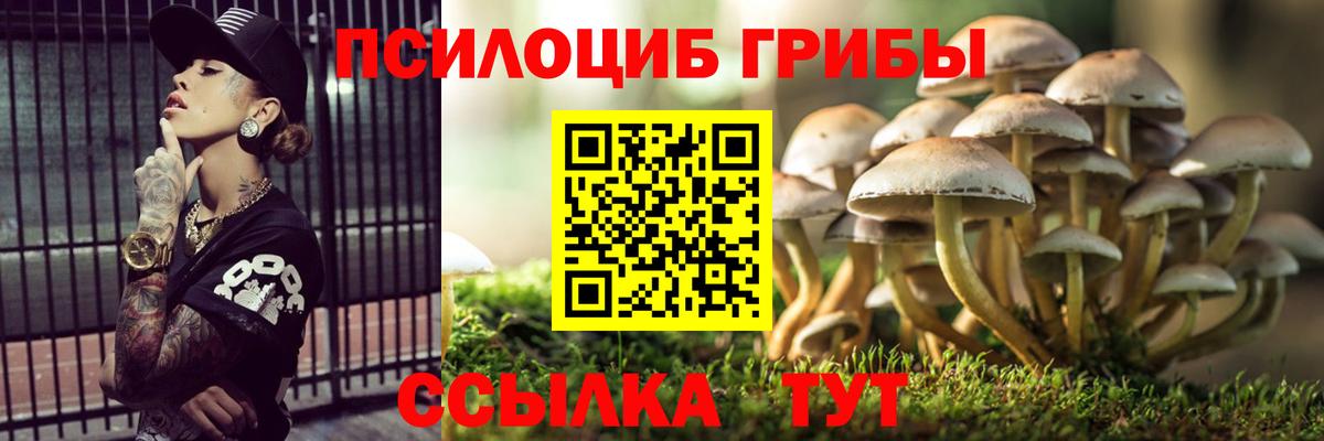 Псилоцибиновые грибы прущие грибы Фрязино