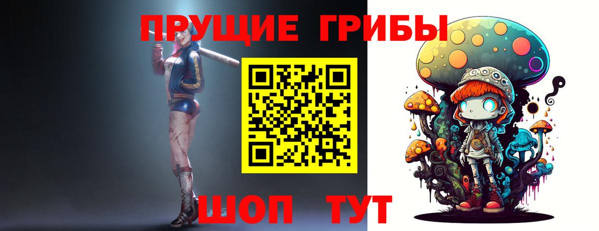 наркотики  Галлюциногенные грибы MAGIC MUSHROOMS  Вход с VPN  Фрязино 